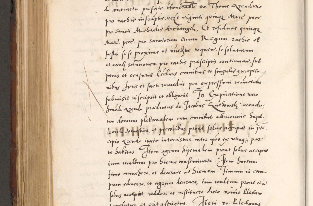 Zdjęcie nr 868 dla obiektu archiwalnego: Acta actorum causarum, sententiarum tam diffinitivarum quam interlocutoriam, obligationum, constitutionum, contractuum etc. coram reverendo patre domino Petro Porembski preposito Oswieczimensi, canonico et officiali Cracoviensi de anno Domini millesimo DºLº quarto, indictione duodecima, pontificatus sanctissimi in Christo patris et domini nostri domini Julii divina providencia papae eius nominis tercii, anno quarto, a die et mense infrasciptis continuantur