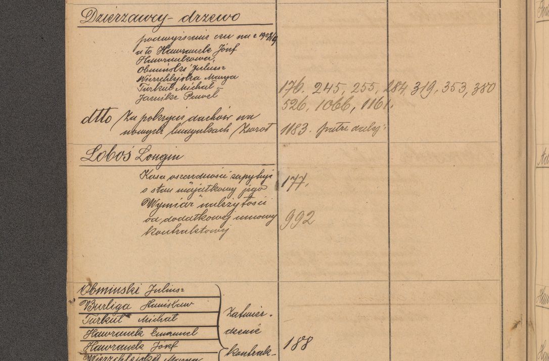 Zdjęcie nr 26 dla obiektu archiwalnego: Index