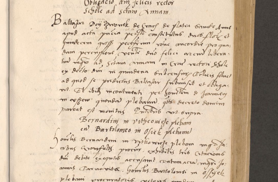 Zdjęcie nr 193 dla obiektu archiwalnego: Acta actorum, sententiarum diffinitivarum coram reverendo domino Petro Miscowski canonico et in spiritualibus vicario generali Cracoviensi ad annum Domini Mᵐᵘᵐ DXLVIᵗᵘᵐ, cuius indictio est quarta, pontificatus sanctissimi in Christo patris et domini nostri domini Pauli divina providencia pape tercii, a die tercia mensis Novembris, annus duodecimus (sic!) feliciter continuantur