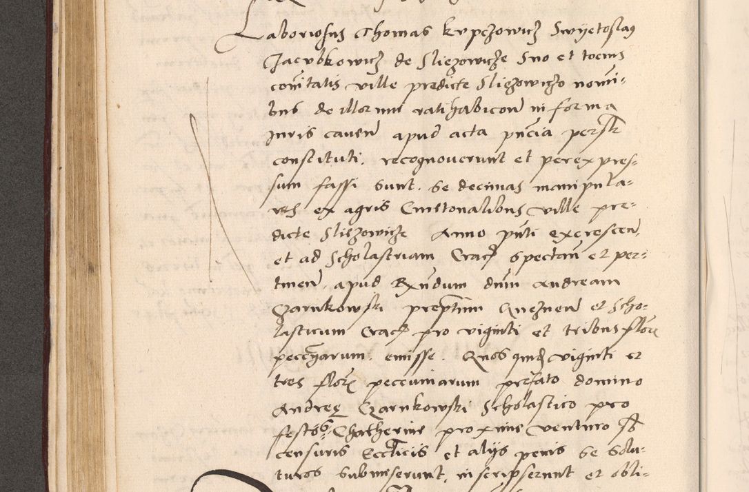 Zdjęcie nr 182 dla obiektu archiwalnego: Acta actorum, sententiarum diffinitivarum coram reverendo domino Petro Miscowski canonico et in spiritualibus vicario generali Cracoviensi ad annum Domini Mᵐᵘᵐ DXLVIᵗᵘᵐ, cuius indictio est quarta, pontificatus sanctissimi in Christo patris et domini nostri domini Pauli divina providencia pape tercii, a die tercia mensis Novembris, annus duodecimus (sic!) feliciter continuantur