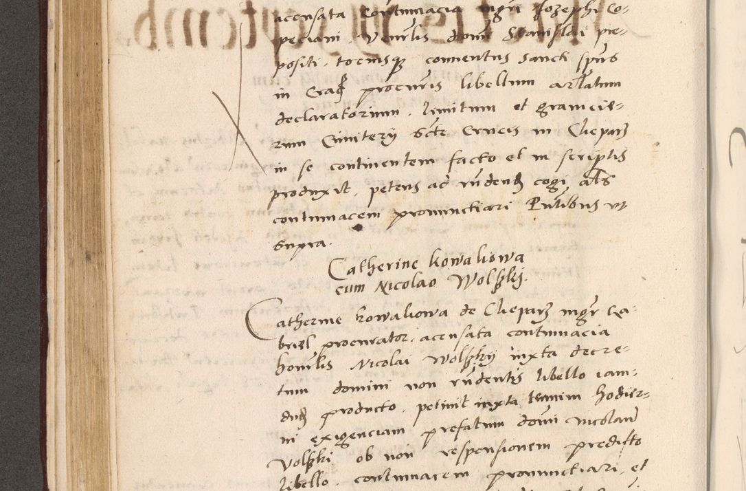 Zdjęcie nr 212 dla obiektu archiwalnego: Acta actorum, sententiarum diffinitivarum coram reverendo domino Petro Miscowski canonico et in spiritualibus vicario generali Cracoviensi ad annum Domini Mᵐᵘᵐ DXLVIᵗᵘᵐ, cuius indictio est quarta, pontificatus sanctissimi in Christo patris et domini nostri domini Pauli divina providencia pape tercii, a die tercia mensis Novembris, annus duodecimus (sic!) feliciter continuantur
