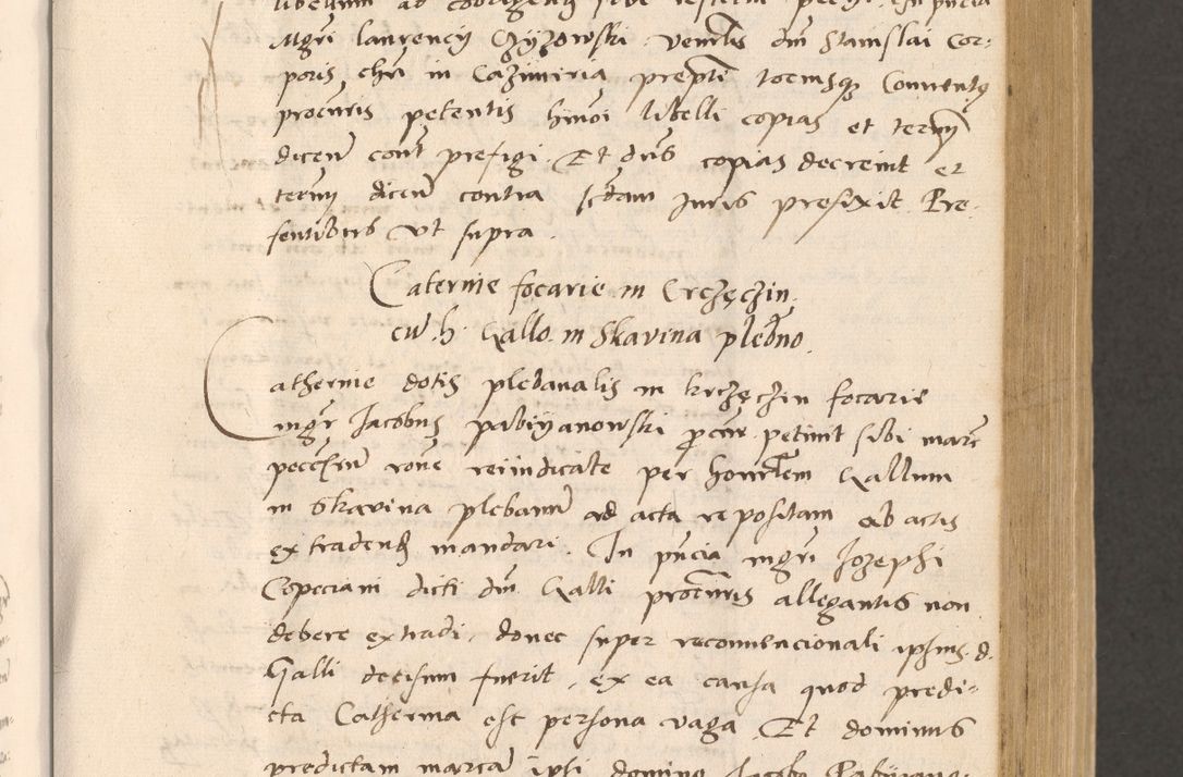 Zdjęcie nr 207 dla obiektu archiwalnego: Acta actorum, sententiarum diffinitivarum coram reverendo domino Petro Miscowski canonico et in spiritualibus vicario generali Cracoviensi ad annum Domini Mᵐᵘᵐ DXLVIᵗᵘᵐ, cuius indictio est quarta, pontificatus sanctissimi in Christo patris et domini nostri domini Pauli divina providencia pape tercii, a die tercia mensis Novembris, annus duodecimus (sic!) feliciter continuantur