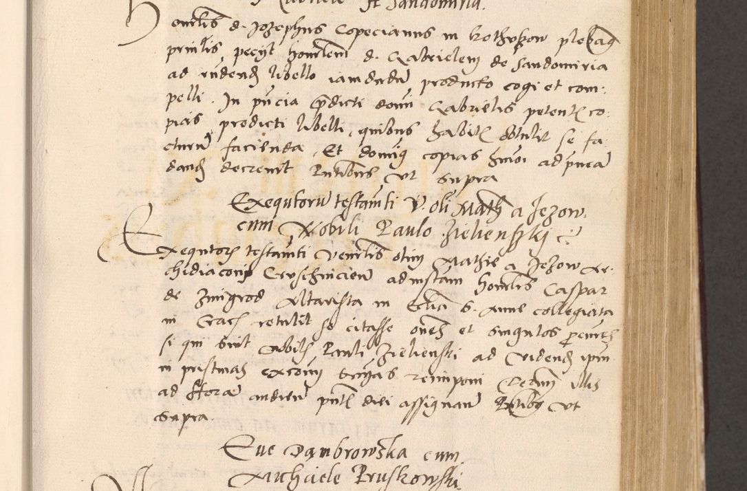 Zdjęcie nr 349 dla obiektu archiwalnego: Acta actorum, sententiarum diffinitivarum coram reverendo domino Petro Miscowski canonico et in spiritualibus vicario generali Cracoviensi ad annum Domini Mᵐᵘᵐ DXLVIᵗᵘᵐ, cuius indictio est quarta, pontificatus sanctissimi in Christo patris et domini nostri domini Pauli divina providencia pape tercii, a die tercia mensis Novembris, annus duodecimus (sic!) feliciter continuantur