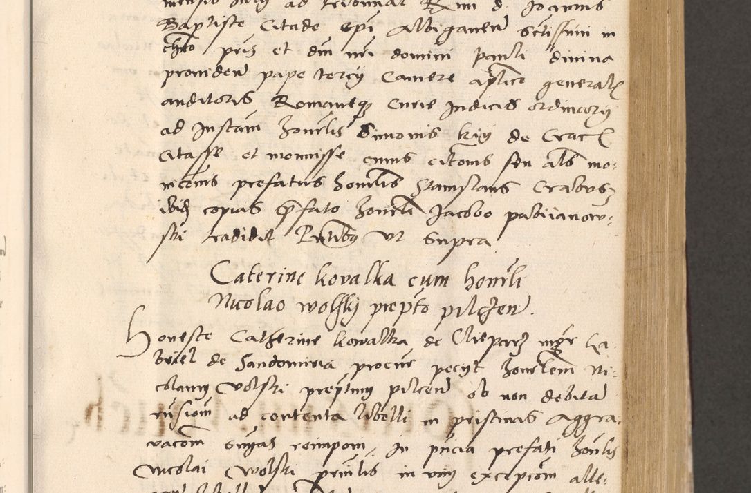 Zdjęcie nr 289 dla obiektu archiwalnego: Acta actorum, sententiarum diffinitivarum coram reverendo domino Petro Miscowski canonico et in spiritualibus vicario generali Cracoviensi ad annum Domini Mᵐᵘᵐ DXLVIᵗᵘᵐ, cuius indictio est quarta, pontificatus sanctissimi in Christo patris et domini nostri domini Pauli divina providencia pape tercii, a die tercia mensis Novembris, annus duodecimus (sic!) feliciter continuantur