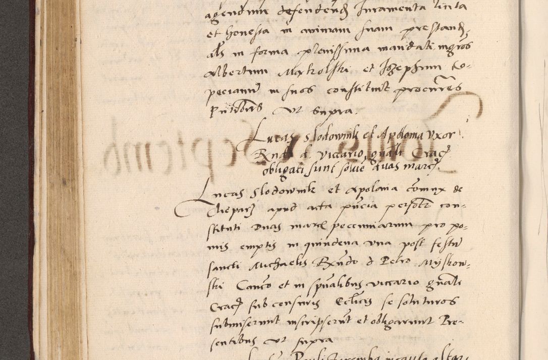 Zdjęcie nr 214 dla obiektu archiwalnego: Acta actorum, sententiarum diffinitivarum coram reverendo domino Petro Miscowski canonico et in spiritualibus vicario generali Cracoviensi ad annum Domini Mᵐᵘᵐ DXLVIᵗᵘᵐ, cuius indictio est quarta, pontificatus sanctissimi in Christo patris et domini nostri domini Pauli divina providencia pape tercii, a die tercia mensis Novembris, annus duodecimus (sic!) feliciter continuantur