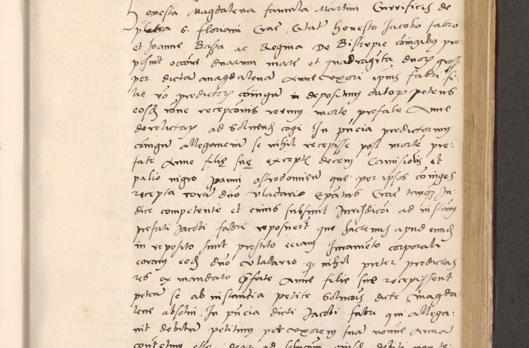 Zdjęcie nr 571 dla obiektu archiwalnego: Acta actorum, sententiarum diffinitivarum coram reverendo domino Petro Miscowski canonico et in spiritualibus vicario generali Cracoviensi ad annum Domini Mᵐᵘᵐ DXLVIᵗᵘᵐ, cuius indictio est quarta, pontificatus sanctissimi in Christo patris et domini nostri domini Pauli divina providencia pape tercii, a die tercia mensis Novembris, annus duodecimus (sic!) feliciter continuantur
