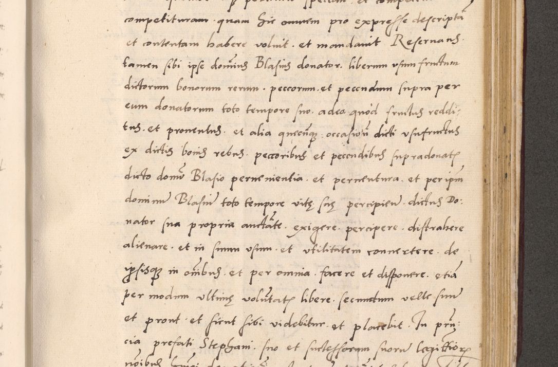 Zdjęcie nr 787 dla obiektu archiwalnego: Acta actorum, sententiarum diffinitivarum coram reverendo domino Petro Miscowski canonico et in spiritualibus vicario generali Cracoviensi ad annum Domini Mᵐᵘᵐ DXLVIᵗᵘᵐ, cuius indictio est quarta, pontificatus sanctissimi in Christo patris et domini nostri domini Pauli divina providencia pape tercii, a die tercia mensis Novembris, annus duodecimus (sic!) feliciter continuantur