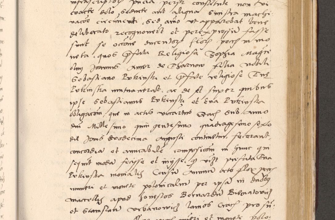 Zdjęcie nr 641 dla obiektu archiwalnego: Acta actorum, sententiarum diffinitivarum coram reverendo domino Petro Miscowski canonico et in spiritualibus vicario generali Cracoviensi ad annum Domini Mᵐᵘᵐ DXLVIᵗᵘᵐ, cuius indictio est quarta, pontificatus sanctissimi in Christo patris et domini nostri domini Pauli divina providencia pape tercii, a die tercia mensis Novembris, annus duodecimus (sic!) feliciter continuantur
