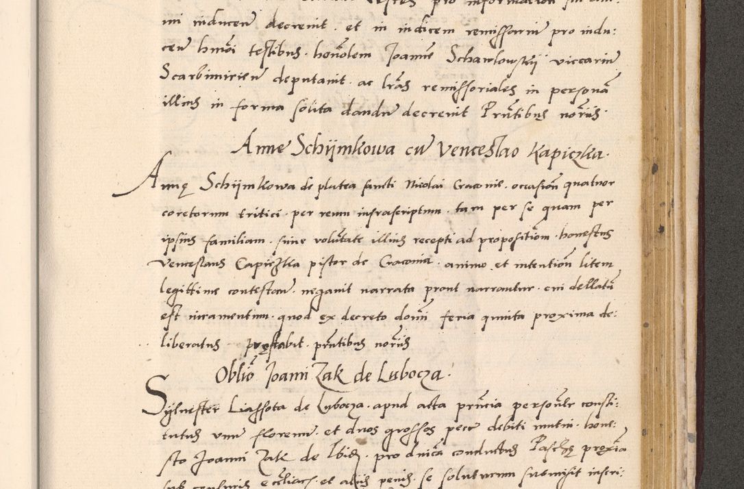 Zdjęcie nr 941 dla obiektu archiwalnego: Acta actorum, sententiarum diffinitivarum coram reverendo domino Petro Miscowski canonico et in spiritualibus vicario generali Cracoviensi ad annum Domini Mᵐᵘᵐ DXLVIᵗᵘᵐ, cuius indictio est quarta, pontificatus sanctissimi in Christo patris et domini nostri domini Pauli divina providencia pape tercii, a die tercia mensis Novembris, annus duodecimus (sic!) feliciter continuantur