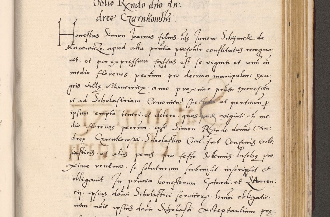 Zdjęcie nr 815 dla obiektu archiwalnego: Acta actorum, sententiarum diffinitivarum coram reverendo domino Petro Miscowski canonico et in spiritualibus vicario generali Cracoviensi ad annum Domini Mᵐᵘᵐ DXLVIᵗᵘᵐ, cuius indictio est quarta, pontificatus sanctissimi in Christo patris et domini nostri domini Pauli divina providencia pape tercii, a die tercia mensis Novembris, annus duodecimus (sic!) feliciter continuantur