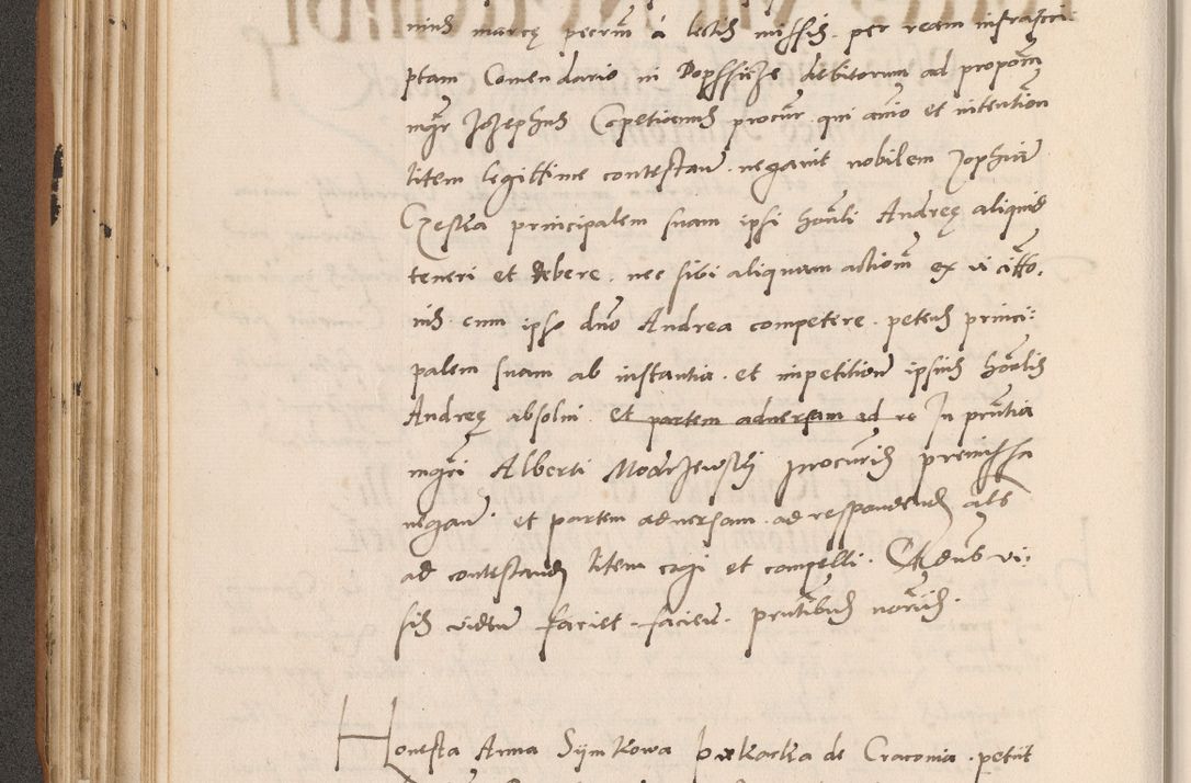 Zdjęcie nr 202 dla obiektu archiwalnego: Acta actorum causarum, sentenciarum tam diffinitivarum quam interlocutoriarum et obligacionum coram reverendo domino Petro Mischkowski custode Kielcensi, canonico vicarioque in spiritualibus generali Cracoviensi ad annum Domini millesimum quingentesimum octavum, cuius indicio est sexta, pontificatus sanctissimi in Christo patris et domini nostri domini Pauli divina providencia pape tercii feliciter moderni, anno coronacionis quarto decimo continuantur