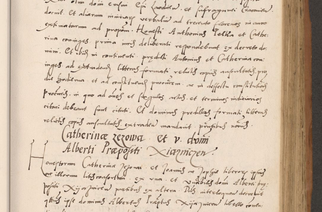 Zdjęcie nr 199 dla obiektu archiwalnego: Acta actorum causarum, sentenciarum tam diffinitivarum quam interlocutoriarum et obligacionum coram reverendo domino Petro Mischkowski custode Kielcensi, canonico vicarioque in spiritualibus generali Cracoviensi ad annum Domini millesimum quingentesimum octavum, cuius indicio est sexta, pontificatus sanctissimi in Christo patris et domini nostri domini Pauli divina providencia pape tercii feliciter moderni, anno coronacionis quarto decimo continuantur