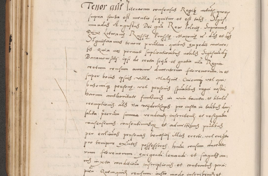 Zdjęcie nr 152 dla obiektu archiwalnego: Acta actorum causarum, sentenciarum tam diffinitivarum quam interlocutoriarum et obligacionum coram reverendo domino Petro Mischkowski custode Kielcensi, canonico vicarioque in spiritualibus generali Cracoviensi ad annum Domini millesimum quingentesimum octavum, cuius indicio est sexta, pontificatus sanctissimi in Christo patris et domini nostri domini Pauli divina providencia pape tercii feliciter moderni, anno coronacionis quarto decimo continuantur