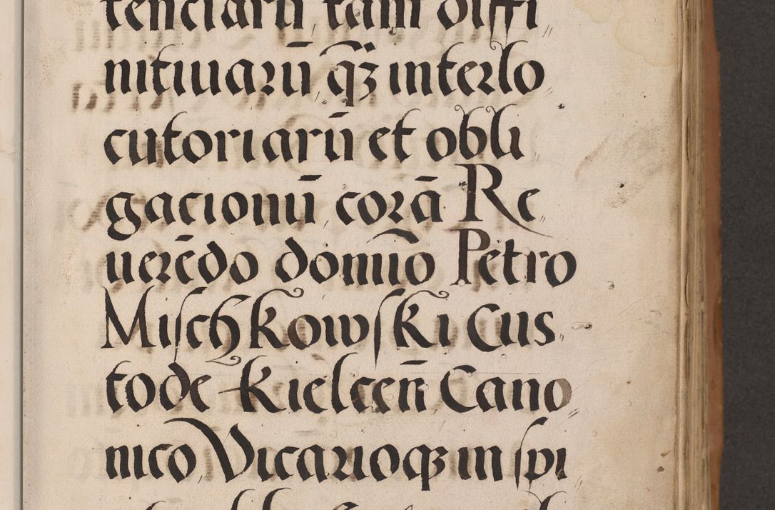 Zdjęcie nr 7 dla obiektu archiwalnego: Acta actorum causarum, sentenciarum tam diffinitivarum quam interlocutoriarum et obligacionum coram reverendo domino Petro Mischkowski custode Kielcensi, canonico vicarioque in spiritualibus generali Cracoviensi ad annum Domini millesimum quingentesimum octavum, cuius indicio est sexta, pontificatus sanctissimi in Christo patris et domini nostri domini Pauli divina providencia pape tercii feliciter moderni, anno coronacionis quarto decimo continuantur