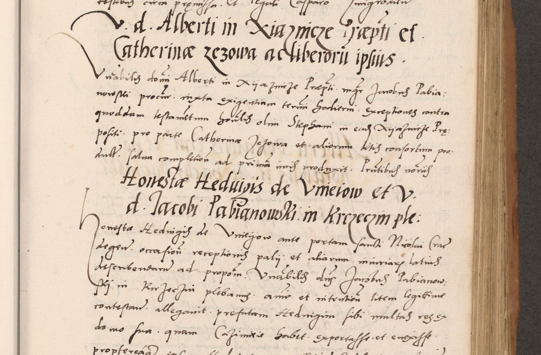 Zdjęcie nr 325 dla obiektu archiwalnego: Acta actorum causarum, sentenciarum tam diffinitivarum quam interlocutoriarum et obligacionum coram reverendo domino Petro Mischkowski custode Kielcensi, canonico vicarioque in spiritualibus generali Cracoviensi ad annum Domini millesimum quingentesimum octavum, cuius indicio est sexta, pontificatus sanctissimi in Christo patris et domini nostri domini Pauli divina providencia pape tercii feliciter moderni, anno coronacionis quarto decimo continuantur