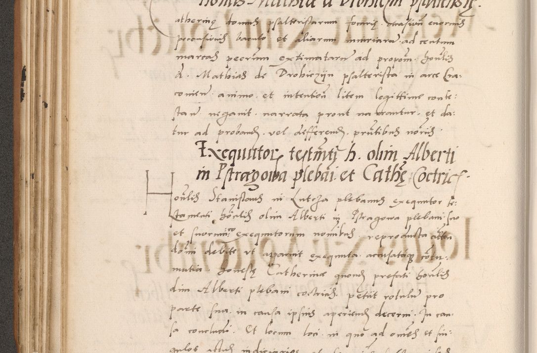 Zdjęcie nr 216 dla obiektu archiwalnego: Acta actorum causarum, sentenciarum tam diffinitivarum quam interlocutoriarum et obligacionum coram reverendo domino Petro Mischkowski custode Kielcensi, canonico vicarioque in spiritualibus generali Cracoviensi ad annum Domini millesimum quingentesimum octavum, cuius indicio est sexta, pontificatus sanctissimi in Christo patris et domini nostri domini Pauli divina providencia pape tercii feliciter moderni, anno coronacionis quarto decimo continuantur