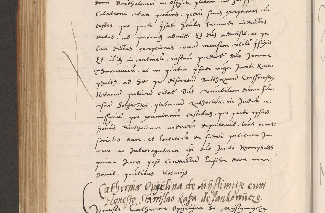 Zdjęcie nr 484 dla obiektu archiwalnego: Acta actorum causarum, sentenciarum tam diffinitivarum quam interlocutoriarum et obligacionum coram reverendo domino Petro Mischkowski custode Kielcensi, canonico vicarioque in spiritualibus generali Cracoviensi ad annum Domini millesimum quingentesimum octavum, cuius indicio est sexta, pontificatus sanctissimi in Christo patris et domini nostri domini Pauli divina providencia pape tercii feliciter moderni, anno coronacionis quarto decimo continuantur