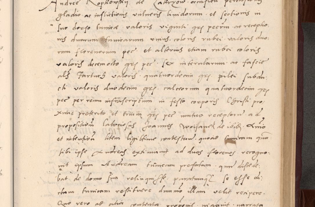 Zdjęcie nr 79 dla obiektu archiwalnego: Acta actorum causarum, sententiarum tam diffinitivarum quam interlocutoriarum et obligationum, quietationum ac constitutionum procuratorum coram reverendo domino Petro Mischkowsky Gneznensi et Cracoviensi canonico vicarique in spiritualibus Cracoviensi generali ad annum Domini MDLᵐᵘᵐ, cuius indicio est octava, pontificatus post mortem sanctissimi in Christo patris et domini nostri domini Pauli divina providencia pape III anno XVIᵐᵒ defuncti vacante, Regni vero serennissimi principis et domini Sigismundi Augusti Dei gratia Regis Poloniae, Magni Ducis Litwaniae, Russie, Prussie, Mazowie etc. domini et haeredis, anno XXIᵒ foeliciter continuantur