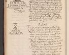 Zdjęcie nr 50 dla obiektu archiwalnego: Acta actorum causarum, sententiarum tam diffinitivarum quam interlocutoriarum et obligationum, quietationum ac constitutionum procuratorum coram reverendo domino Petro Mischkowsky Gneznensi et Cracoviensi canonico vicarique in spiritualibus Cracoviensi generali ad annum Domini MDLᵐᵘᵐ, cuius indicio est octava, pontificatus post mortem sanctissimi in Christo patris et domini nostri domini Pauli divina providencia pape III anno XVIᵐᵒ defuncti vacante, Regni vero serennissimi principis et domini Sigismundi Augusti Dei gratia Regis Poloniae, Magni Ducis Litwaniae, Russie, Prussie, Mazowie etc. domini et haeredis, anno XXIᵒ foeliciter continuantur