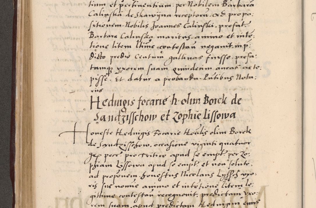 Zdjęcie nr 376 dla obiektu archiwalnego: Acta actorum causarum, sententiarum tam diffinitivarum quam interlocutoriarum et obligationum, quietationum ac constitutionum procuratorum coram reverendo domino Petro Mischkowsky Gneznensi et Cracoviensi canonico vicarique in spiritualibus Cracoviensi generali ad annum Domini MDLᵐᵘᵐ, cuius indicio est octava, pontificatus post mortem sanctissimi in Christo patris et domini nostri domini Pauli divina providencia pape III anno XVIᵐᵒ defuncti vacante, Regni vero serennissimi principis et domini Sigismundi Augusti Dei gratia Regis Poloniae, Magni Ducis Litwaniae, Russie, Prussie, Mazowie etc. domini et haeredis, anno XXIᵒ foeliciter continuantur