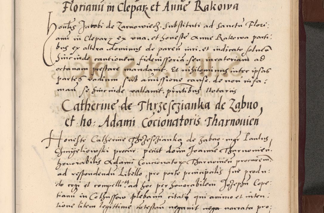 Zdjęcie nr 351 dla obiektu archiwalnego: Acta actorum causarum, sententiarum tam diffinitivarum quam interlocutoriarum et obligationum, quietationum ac constitutionum procuratorum coram reverendo domino Petro Mischkowsky Gneznensi et Cracoviensi canonico vicarique in spiritualibus Cracoviensi generali ad annum Domini MDLᵐᵘᵐ, cuius indicio est octava, pontificatus post mortem sanctissimi in Christo patris et domini nostri domini Pauli divina providencia pape III anno XVIᵐᵒ defuncti vacante, Regni vero serennissimi principis et domini Sigismundi Augusti Dei gratia Regis Poloniae, Magni Ducis Litwaniae, Russie, Prussie, Mazowie etc. domini et haeredis, anno XXIᵒ foeliciter continuantur