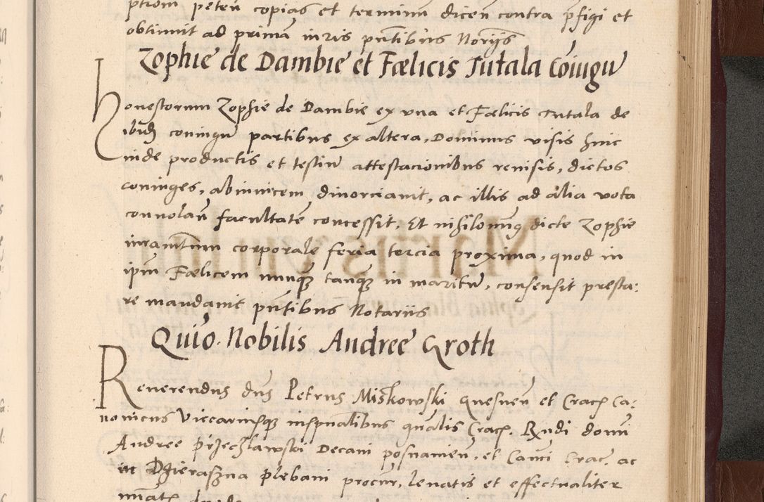 Zdjęcie nr 265 dla obiektu archiwalnego: Acta actorum causarum, sententiarum tam diffinitivarum quam interlocutoriarum et obligationum, quietationum ac constitutionum procuratorum coram reverendo domino Petro Mischkowsky Gneznensi et Cracoviensi canonico vicarique in spiritualibus Cracoviensi generali ad annum Domini MDLᵐᵘᵐ, cuius indicio est octava, pontificatus post mortem sanctissimi in Christo patris et domini nostri domini Pauli divina providencia pape III anno XVIᵐᵒ defuncti vacante, Regni vero serennissimi principis et domini Sigismundi Augusti Dei gratia Regis Poloniae, Magni Ducis Litwaniae, Russie, Prussie, Mazowie etc. domini et haeredis, anno XXIᵒ foeliciter continuantur