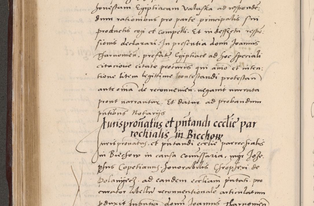 Zdjęcie nr 262 dla obiektu archiwalnego: Acta actorum causarum, sententiarum tam diffinitivarum quam interlocutoriarum et obligationum, quietationum ac constitutionum procuratorum coram reverendo domino Petro Mischkowsky Gneznensi et Cracoviensi canonico vicarique in spiritualibus Cracoviensi generali ad annum Domini MDLᵐᵘᵐ, cuius indicio est octava, pontificatus post mortem sanctissimi in Christo patris et domini nostri domini Pauli divina providencia pape III anno XVIᵐᵒ defuncti vacante, Regni vero serennissimi principis et domini Sigismundi Augusti Dei gratia Regis Poloniae, Magni Ducis Litwaniae, Russie, Prussie, Mazowie etc. domini et haeredis, anno XXIᵒ foeliciter continuantur