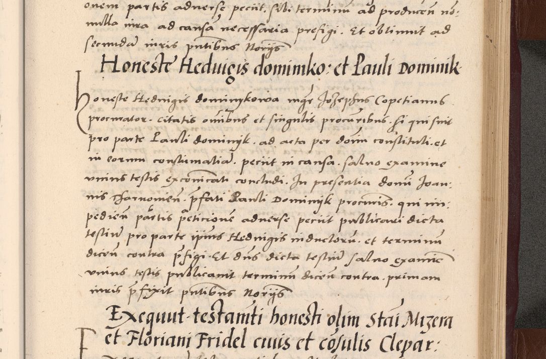 Zdjęcie nr 249 dla obiektu archiwalnego: Acta actorum causarum, sententiarum tam diffinitivarum quam interlocutoriarum et obligationum, quietationum ac constitutionum procuratorum coram reverendo domino Petro Mischkowsky Gneznensi et Cracoviensi canonico vicarique in spiritualibus Cracoviensi generali ad annum Domini MDLᵐᵘᵐ, cuius indicio est octava, pontificatus post mortem sanctissimi in Christo patris et domini nostri domini Pauli divina providencia pape III anno XVIᵐᵒ defuncti vacante, Regni vero serennissimi principis et domini Sigismundi Augusti Dei gratia Regis Poloniae, Magni Ducis Litwaniae, Russie, Prussie, Mazowie etc. domini et haeredis, anno XXIᵒ foeliciter continuantur
