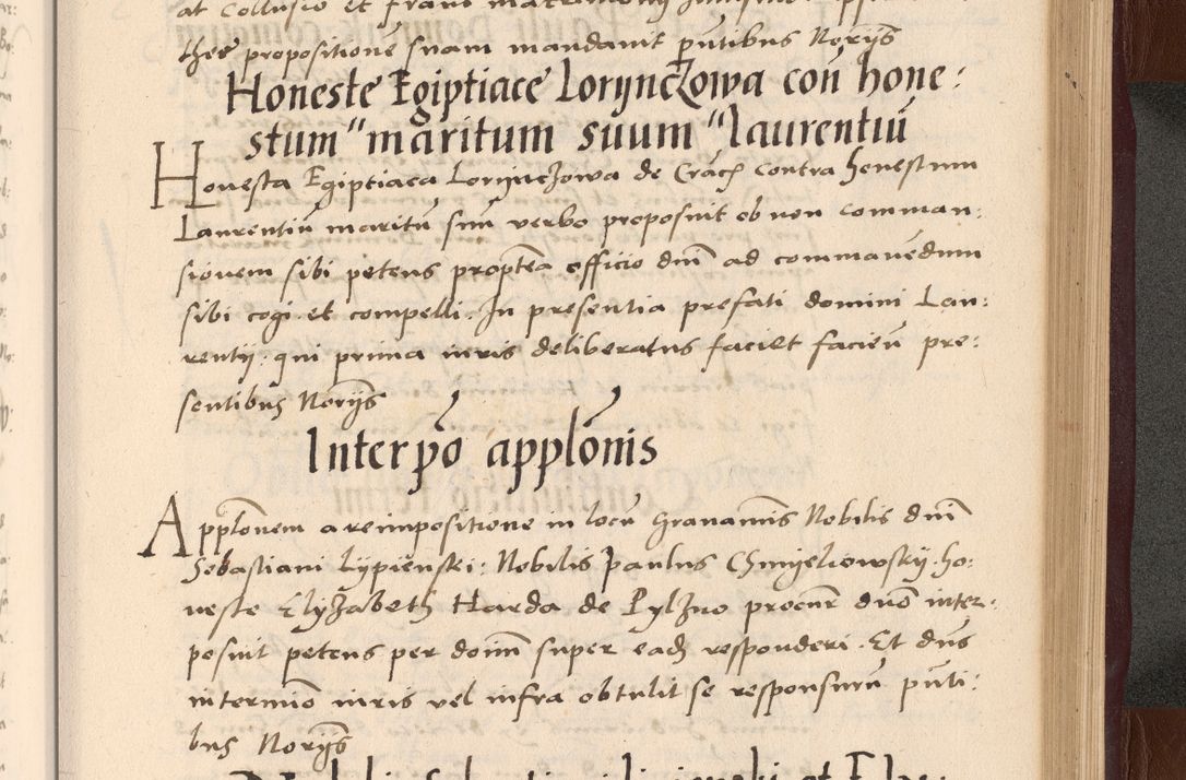 Zdjęcie nr 221 dla obiektu archiwalnego: Acta actorum causarum, sententiarum tam diffinitivarum quam interlocutoriarum et obligationum, quietationum ac constitutionum procuratorum coram reverendo domino Petro Mischkowsky Gneznensi et Cracoviensi canonico vicarique in spiritualibus Cracoviensi generali ad annum Domini MDLᵐᵘᵐ, cuius indicio est octava, pontificatus post mortem sanctissimi in Christo patris et domini nostri domini Pauli divina providencia pape III anno XVIᵐᵒ defuncti vacante, Regni vero serennissimi principis et domini Sigismundi Augusti Dei gratia Regis Poloniae, Magni Ducis Litwaniae, Russie, Prussie, Mazowie etc. domini et haeredis, anno XXIᵒ foeliciter continuantur