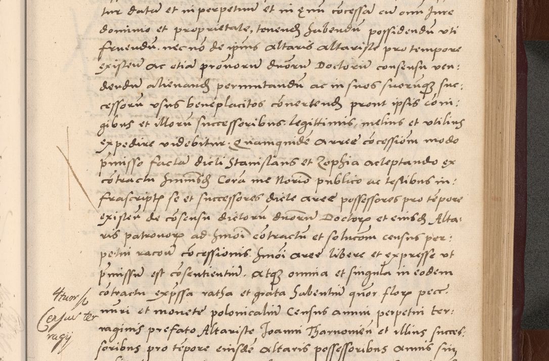 Zdjęcie nr 213 dla obiektu archiwalnego: Acta actorum causarum, sententiarum tam diffinitivarum quam interlocutoriarum et obligationum, quietationum ac constitutionum procuratorum coram reverendo domino Petro Mischkowsky Gneznensi et Cracoviensi canonico vicarique in spiritualibus Cracoviensi generali ad annum Domini MDLᵐᵘᵐ, cuius indicio est octava, pontificatus post mortem sanctissimi in Christo patris et domini nostri domini Pauli divina providencia pape III anno XVIᵐᵒ defuncti vacante, Regni vero serennissimi principis et domini Sigismundi Augusti Dei gratia Regis Poloniae, Magni Ducis Litwaniae, Russie, Prussie, Mazowie etc. domini et haeredis, anno XXIᵒ foeliciter continuantur