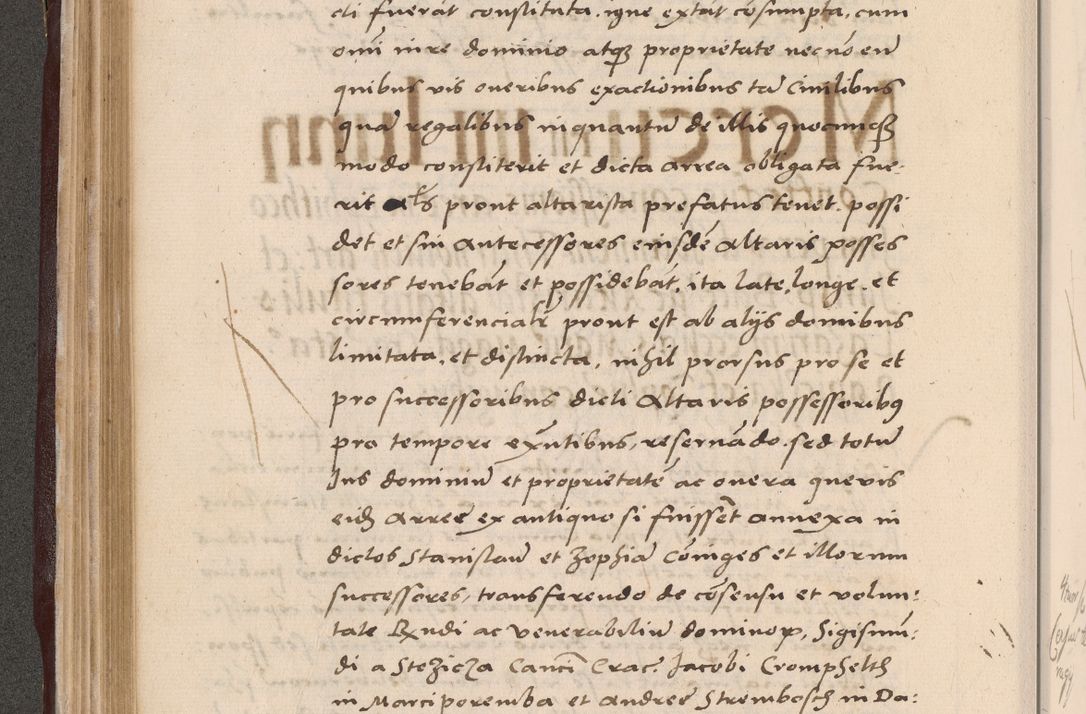 Zdjęcie nr 212 dla obiektu archiwalnego: Acta actorum causarum, sententiarum tam diffinitivarum quam interlocutoriarum et obligationum, quietationum ac constitutionum procuratorum coram reverendo domino Petro Mischkowsky Gneznensi et Cracoviensi canonico vicarique in spiritualibus Cracoviensi generali ad annum Domini MDLᵐᵘᵐ, cuius indicio est octava, pontificatus post mortem sanctissimi in Christo patris et domini nostri domini Pauli divina providencia pape III anno XVIᵐᵒ defuncti vacante, Regni vero serennissimi principis et domini Sigismundi Augusti Dei gratia Regis Poloniae, Magni Ducis Litwaniae, Russie, Prussie, Mazowie etc. domini et haeredis, anno XXIᵒ foeliciter continuantur