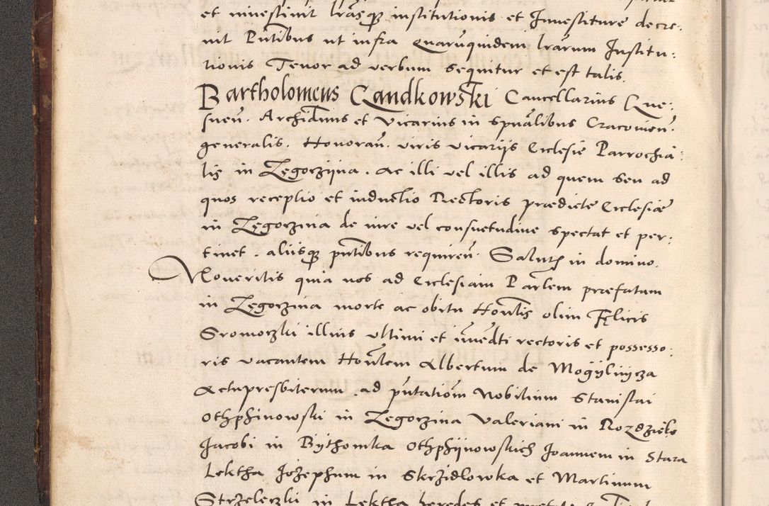 Zdjęcie nr 20 dla obiektu archiwalnego: Acta actorum causarum, sentenciarum tam diffinitivarum quam interloquutoriarum, decretorum, obligationum, quietationum et constitucionum procuratorum coram reverendo domino Bartholomeo Ganthkowsky cancellario Gnesnensi, archidiacono et reverendissimi in Christo patris domini Andree Dei gratia episcopi Cracoviensis vicario in spiritualibus generali Cracoviensi ad annum Domini millesimum quingentesimum quingentesimum primum, cuius indictio nona, pontificatus sanctissimi in Christo patris domini Julii divina providencia pape tercii, annus secundus (sic!) felici omine incipiutur.