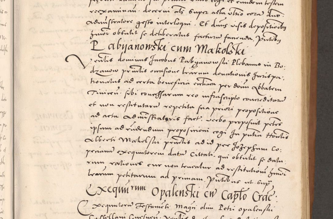 Zdjęcie nr 25 dla obiektu archiwalnego: Acta actorum causarum, sentenciarum tam diffinitivarum quam interloquutoriarum, decretorum, obligationum, quietationum et constitucionum procuratorum coram reverendo domino Bartholomeo Ganthkowsky cancellario Gnesnensi, archidiacono et reverendissimi in Christo patris domini Andree Dei gratia episcopi Cracoviensis vicario in spiritualibus generali Cracoviensi ad annum Domini millesimum quingentesimum quingentesimum primum, cuius indictio nona, pontificatus sanctissimi in Christo patris domini Julii divina providencia pape tercii, annus secundus (sic!) felici omine incipiutur.