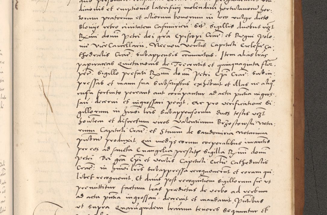 Zdjęcie nr 1165 dla obiektu archiwalnego: Acta actorum causarum, sentenciarum tam diffinitivarum quam interloquutoriarum, decretorum, obligationum, quietationum et constitucionum procuratorum coram reverendo domino Bartholomeo Ganthkowsky cancellario Gnesnensi, archidiacono et reverendissimi in Christo patris domini Andree Dei gratia episcopi Cracoviensis vicario in spiritualibus generali Cracoviensi ad annum Domini millesimum quingentesimum quingentesimum primum, cuius indictio nona, pontificatus sanctissimi in Christo patris domini Julii divina providencia pape tercii, annus secundus (sic!) felici omine incipiutur.
