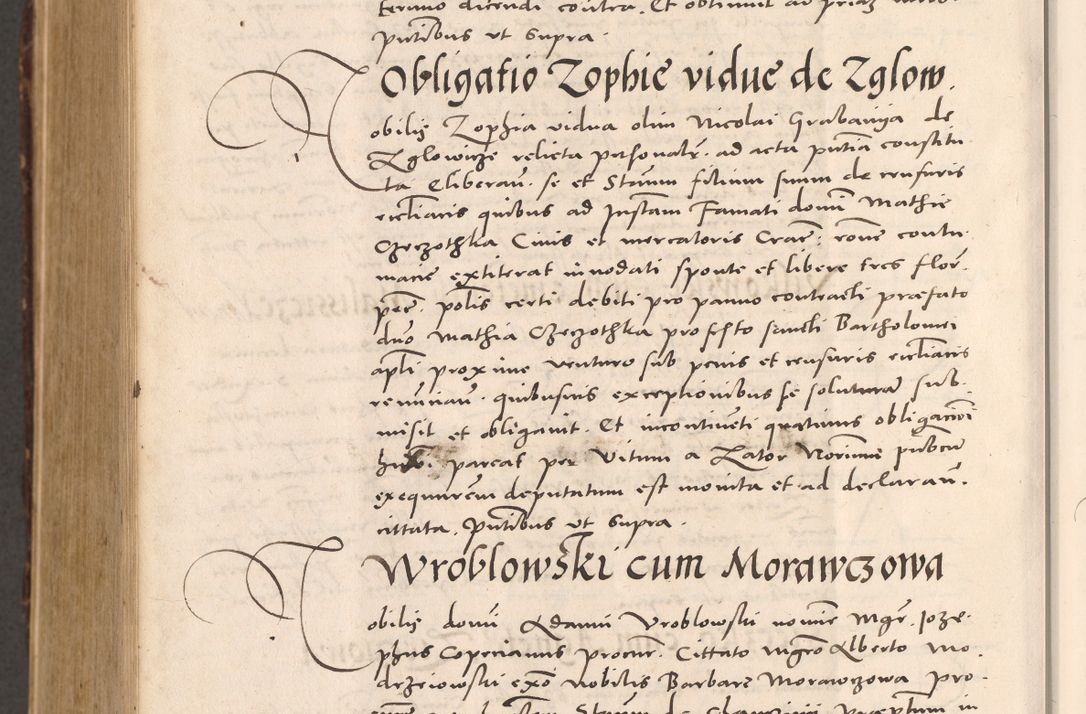 Zdjęcie nr 1142 dla obiektu archiwalnego: Acta actorum causarum, sentenciarum tam diffinitivarum quam interloquutoriarum, decretorum, obligationum, quietationum et constitucionum procuratorum coram reverendo domino Bartholomeo Ganthkowsky cancellario Gnesnensi, archidiacono et reverendissimi in Christo patris domini Andree Dei gratia episcopi Cracoviensis vicario in spiritualibus generali Cracoviensi ad annum Domini millesimum quingentesimum quingentesimum primum, cuius indictio nona, pontificatus sanctissimi in Christo patris domini Julii divina providencia pape tercii, annus secundus (sic!) felici omine incipiutur.