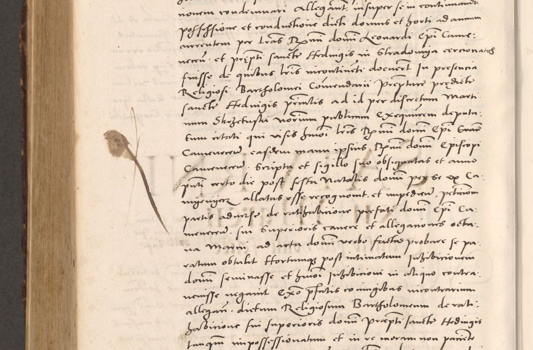 Zdjęcie nr 1076 dla obiektu archiwalnego: Acta actorum causarum, sentenciarum tam diffinitivarum quam interloquutoriarum, decretorum, obligationum, quietationum et constitucionum procuratorum coram reverendo domino Bartholomeo Ganthkowsky cancellario Gnesnensi, archidiacono et reverendissimi in Christo patris domini Andree Dei gratia episcopi Cracoviensis vicario in spiritualibus generali Cracoviensi ad annum Domini millesimum quingentesimum quingentesimum primum, cuius indictio nona, pontificatus sanctissimi in Christo patris domini Julii divina providencia pape tercii, annus secundus (sic!) felici omine incipiutur.
