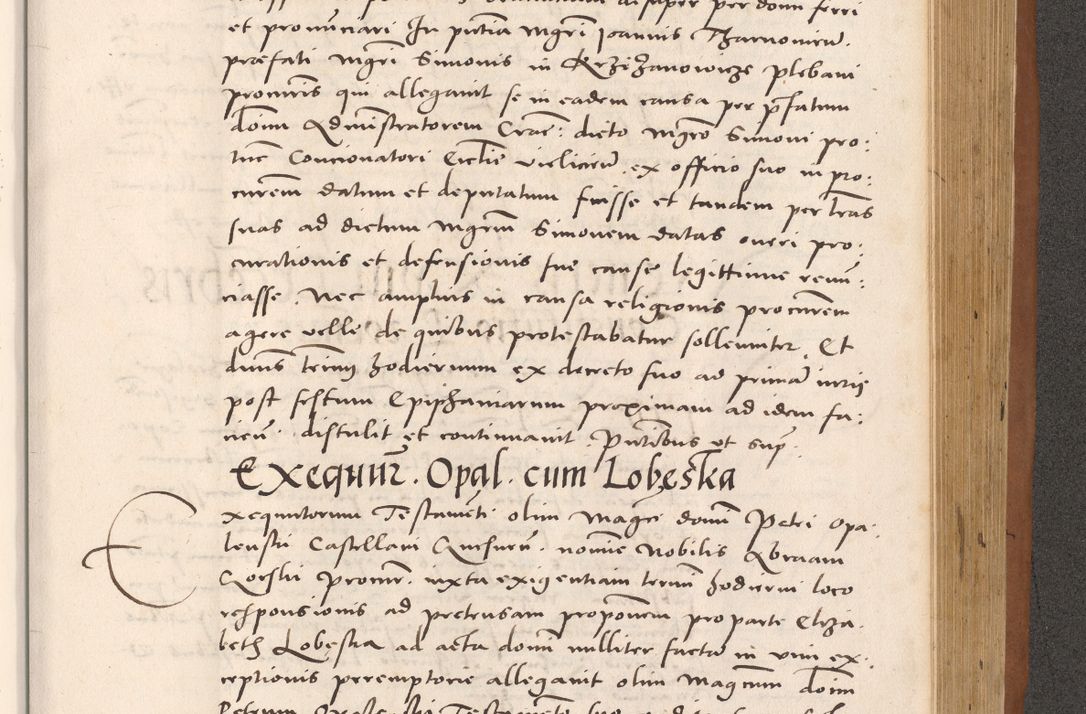 Zdjęcie nr 877 dla obiektu archiwalnego: Acta actorum causarum, sentenciarum tam diffinitivarum quam interloquutoriarum, decretorum, obligationum, quietationum et constitucionum procuratorum coram reverendo domino Bartholomeo Ganthkowsky cancellario Gnesnensi, archidiacono et reverendissimi in Christo patris domini Andree Dei gratia episcopi Cracoviensis vicario in spiritualibus generali Cracoviensi ad annum Domini millesimum quingentesimum quingentesimum primum, cuius indictio nona, pontificatus sanctissimi in Christo patris domini Julii divina providencia pape tercii, annus secundus (sic!) felici omine incipiutur.