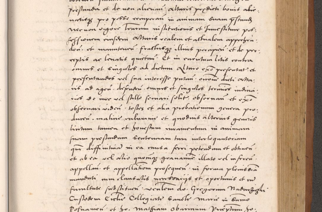 Zdjęcie nr 807 dla obiektu archiwalnego: Acta actorum causarum, sentenciarum tam diffinitivarum quam interloquutoriarum, decretorum, obligationum, quietationum et constitucionum procuratorum coram reverendo domino Bartholomeo Ganthkowsky cancellario Gnesnensi, archidiacono et reverendissimi in Christo patris domini Andree Dei gratia episcopi Cracoviensis vicario in spiritualibus generali Cracoviensi ad annum Domini millesimum quingentesimum quingentesimum primum, cuius indictio nona, pontificatus sanctissimi in Christo patris domini Julii divina providencia pape tercii, annus secundus (sic!) felici omine incipiutur.