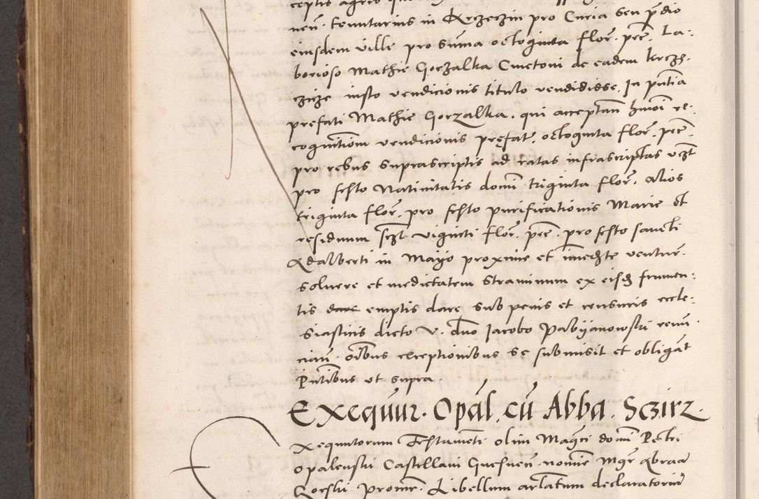 Zdjęcie nr 784 dla obiektu archiwalnego: Acta actorum causarum, sentenciarum tam diffinitivarum quam interloquutoriarum, decretorum, obligationum, quietationum et constitucionum procuratorum coram reverendo domino Bartholomeo Ganthkowsky cancellario Gnesnensi, archidiacono et reverendissimi in Christo patris domini Andree Dei gratia episcopi Cracoviensis vicario in spiritualibus generali Cracoviensi ad annum Domini millesimum quingentesimum quingentesimum primum, cuius indictio nona, pontificatus sanctissimi in Christo patris domini Julii divina providencia pape tercii, annus secundus (sic!) felici omine incipiutur.