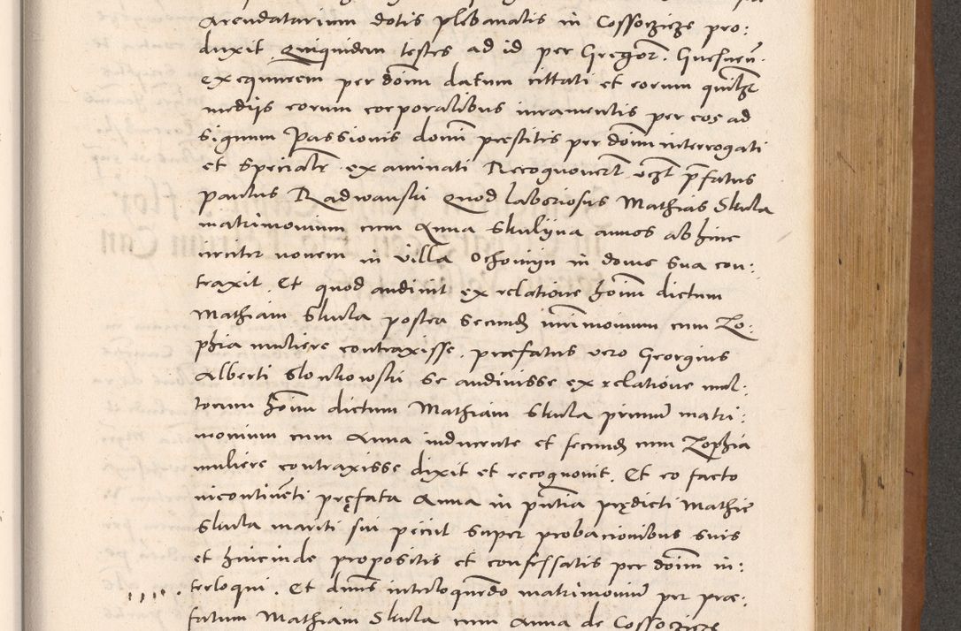 Zdjęcie nr 731 dla obiektu archiwalnego: Acta actorum causarum, sentenciarum tam diffinitivarum quam interloquutoriarum, decretorum, obligationum, quietationum et constitucionum procuratorum coram reverendo domino Bartholomeo Ganthkowsky cancellario Gnesnensi, archidiacono et reverendissimi in Christo patris domini Andree Dei gratia episcopi Cracoviensis vicario in spiritualibus generali Cracoviensi ad annum Domini millesimum quingentesimum quingentesimum primum, cuius indictio nona, pontificatus sanctissimi in Christo patris domini Julii divina providencia pape tercii, annus secundus (sic!) felici omine incipiutur.