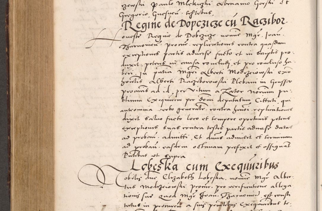 Zdjęcie nr 706 dla obiektu archiwalnego: Acta actorum causarum, sentenciarum tam diffinitivarum quam interloquutoriarum, decretorum, obligationum, quietationum et constitucionum procuratorum coram reverendo domino Bartholomeo Ganthkowsky cancellario Gnesnensi, archidiacono et reverendissimi in Christo patris domini Andree Dei gratia episcopi Cracoviensis vicario in spiritualibus generali Cracoviensi ad annum Domini millesimum quingentesimum quingentesimum primum, cuius indictio nona, pontificatus sanctissimi in Christo patris domini Julii divina providencia pape tercii, annus secundus (sic!) felici omine incipiutur.