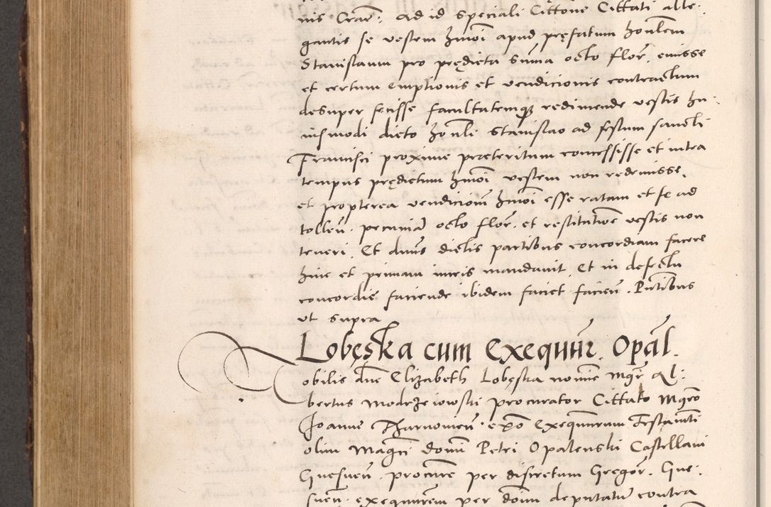 Zdjęcie nr 674 dla obiektu archiwalnego: Acta actorum causarum, sentenciarum tam diffinitivarum quam interloquutoriarum, decretorum, obligationum, quietationum et constitucionum procuratorum coram reverendo domino Bartholomeo Ganthkowsky cancellario Gnesnensi, archidiacono et reverendissimi in Christo patris domini Andree Dei gratia episcopi Cracoviensis vicario in spiritualibus generali Cracoviensi ad annum Domini millesimum quingentesimum quingentesimum primum, cuius indictio nona, pontificatus sanctissimi in Christo patris domini Julii divina providencia pape tercii, annus secundus (sic!) felici omine incipiutur.