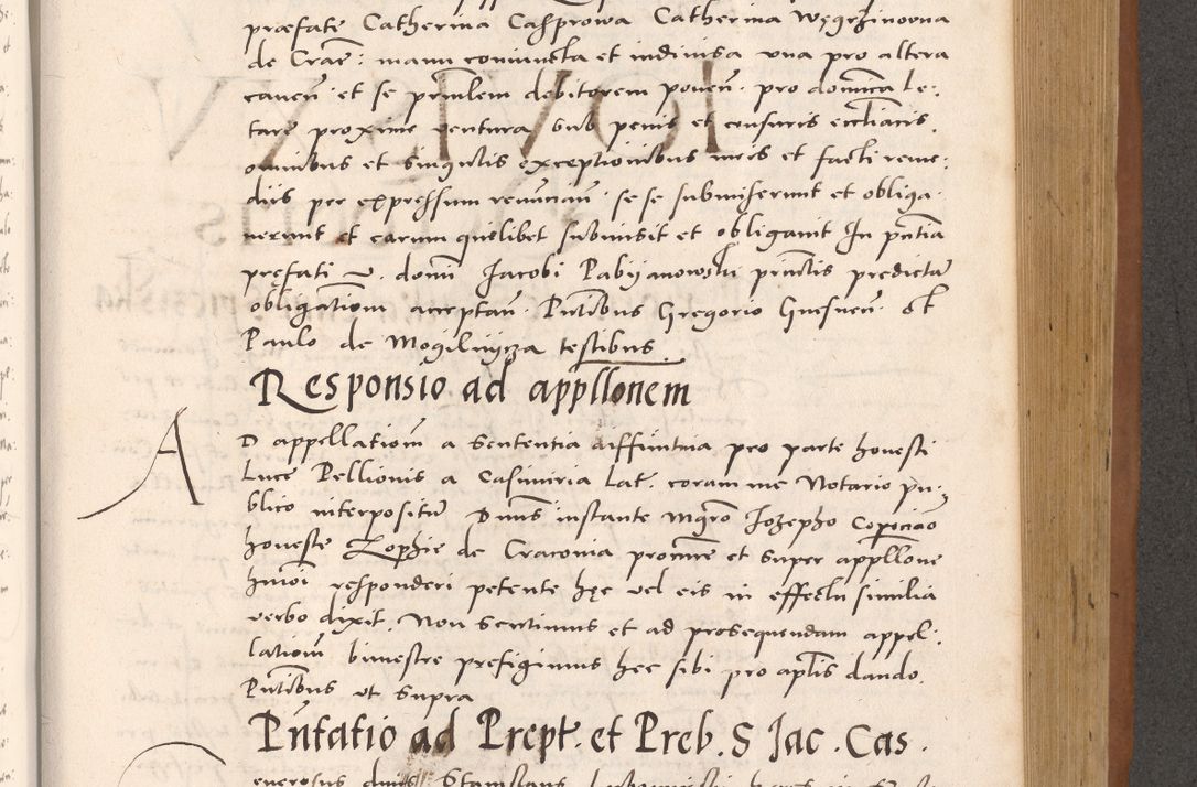Zdjęcie nr 663 dla obiektu archiwalnego: Acta actorum causarum, sentenciarum tam diffinitivarum quam interloquutoriarum, decretorum, obligationum, quietationum et constitucionum procuratorum coram reverendo domino Bartholomeo Ganthkowsky cancellario Gnesnensi, archidiacono et reverendissimi in Christo patris domini Andree Dei gratia episcopi Cracoviensis vicario in spiritualibus generali Cracoviensi ad annum Domini millesimum quingentesimum quingentesimum primum, cuius indictio nona, pontificatus sanctissimi in Christo patris domini Julii divina providencia pape tercii, annus secundus (sic!) felici omine incipiutur.