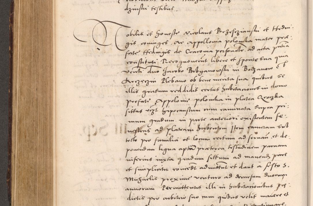 Zdjęcie nr 582 dla obiektu archiwalnego: Acta actorum causarum, sentenciarum tam diffinitivarum quam interloquutoriarum, decretorum, obligationum, quietationum et constitucionum procuratorum coram reverendo domino Bartholomeo Ganthkowsky cancellario Gnesnensi, archidiacono et reverendissimi in Christo patris domini Andree Dei gratia episcopi Cracoviensis vicario in spiritualibus generali Cracoviensi ad annum Domini millesimum quingentesimum quingentesimum primum, cuius indictio nona, pontificatus sanctissimi in Christo patris domini Julii divina providencia pape tercii, annus secundus (sic!) felici omine incipiutur.