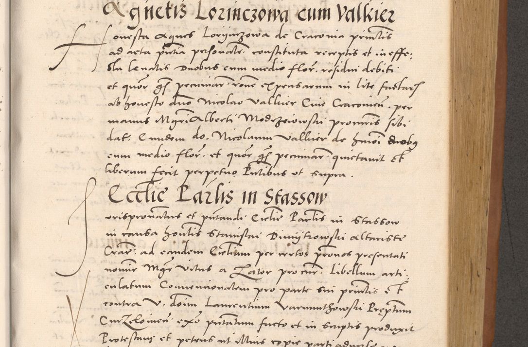 Zdjęcie nr 565 dla obiektu archiwalnego: Acta actorum causarum, sentenciarum tam diffinitivarum quam interloquutoriarum, decretorum, obligationum, quietationum et constitucionum procuratorum coram reverendo domino Bartholomeo Ganthkowsky cancellario Gnesnensi, archidiacono et reverendissimi in Christo patris domini Andree Dei gratia episcopi Cracoviensis vicario in spiritualibus generali Cracoviensi ad annum Domini millesimum quingentesimum quingentesimum primum, cuius indictio nona, pontificatus sanctissimi in Christo patris domini Julii divina providencia pape tercii, annus secundus (sic!) felici omine incipiutur.