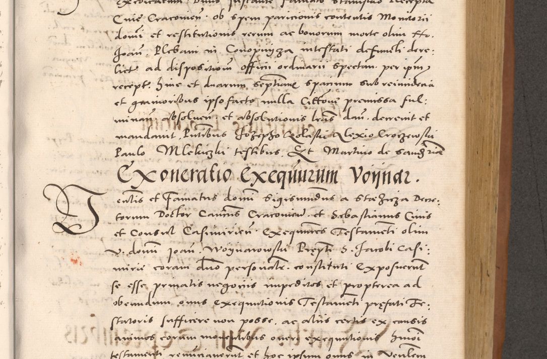 Zdjęcie nr 531 dla obiektu archiwalnego: Acta actorum causarum, sentenciarum tam diffinitivarum quam interloquutoriarum, decretorum, obligationum, quietationum et constitucionum procuratorum coram reverendo domino Bartholomeo Ganthkowsky cancellario Gnesnensi, archidiacono et reverendissimi in Christo patris domini Andree Dei gratia episcopi Cracoviensis vicario in spiritualibus generali Cracoviensi ad annum Domini millesimum quingentesimum quingentesimum primum, cuius indictio nona, pontificatus sanctissimi in Christo patris domini Julii divina providencia pape tercii, annus secundus (sic!) felici omine incipiutur.