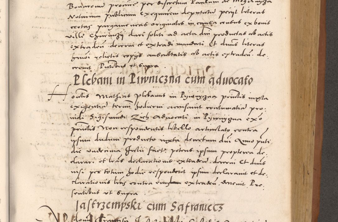 Zdjęcie nr 493 dla obiektu archiwalnego: Acta actorum causarum, sentenciarum tam diffinitivarum quam interloquutoriarum, decretorum, obligationum, quietationum et constitucionum procuratorum coram reverendo domino Bartholomeo Ganthkowsky cancellario Gnesnensi, archidiacono et reverendissimi in Christo patris domini Andree Dei gratia episcopi Cracoviensis vicario in spiritualibus generali Cracoviensi ad annum Domini millesimum quingentesimum quingentesimum primum, cuius indictio nona, pontificatus sanctissimi in Christo patris domini Julii divina providencia pape tercii, annus secundus (sic!) felici omine incipiutur.