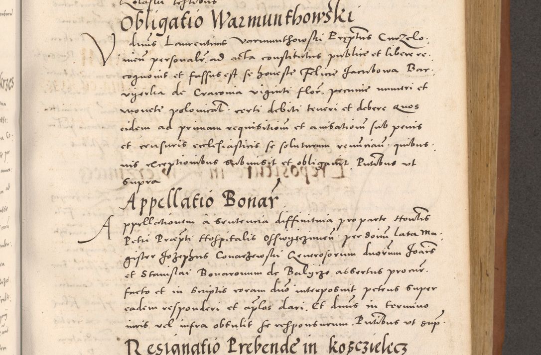 Zdjęcie nr 445 dla obiektu archiwalnego: Acta actorum causarum, sentenciarum tam diffinitivarum quam interloquutoriarum, decretorum, obligationum, quietationum et constitucionum procuratorum coram reverendo domino Bartholomeo Ganthkowsky cancellario Gnesnensi, archidiacono et reverendissimi in Christo patris domini Andree Dei gratia episcopi Cracoviensis vicario in spiritualibus generali Cracoviensi ad annum Domini millesimum quingentesimum quingentesimum primum, cuius indictio nona, pontificatus sanctissimi in Christo patris domini Julii divina providencia pape tercii, annus secundus (sic!) felici omine incipiutur.