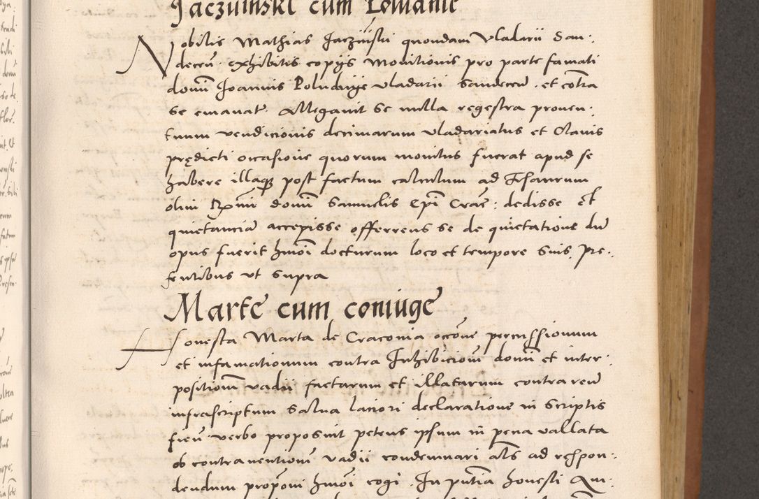 Zdjęcie nr 423 dla obiektu archiwalnego: Acta actorum causarum, sentenciarum tam diffinitivarum quam interloquutoriarum, decretorum, obligationum, quietationum et constitucionum procuratorum coram reverendo domino Bartholomeo Ganthkowsky cancellario Gnesnensi, archidiacono et reverendissimi in Christo patris domini Andree Dei gratia episcopi Cracoviensis vicario in spiritualibus generali Cracoviensi ad annum Domini millesimum quingentesimum quingentesimum primum, cuius indictio nona, pontificatus sanctissimi in Christo patris domini Julii divina providencia pape tercii, annus secundus (sic!) felici omine incipiutur.