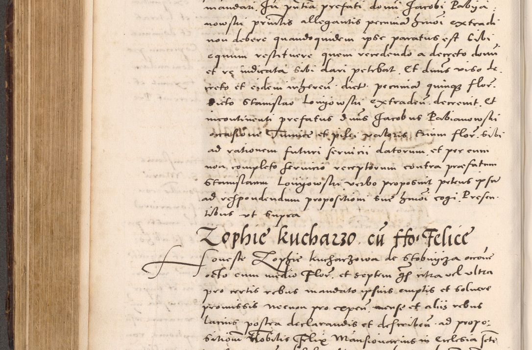 Zdjęcie nr 422 dla obiektu archiwalnego: Acta actorum causarum, sentenciarum tam diffinitivarum quam interloquutoriarum, decretorum, obligationum, quietationum et constitucionum procuratorum coram reverendo domino Bartholomeo Ganthkowsky cancellario Gnesnensi, archidiacono et reverendissimi in Christo patris domini Andree Dei gratia episcopi Cracoviensis vicario in spiritualibus generali Cracoviensi ad annum Domini millesimum quingentesimum quingentesimum primum, cuius indictio nona, pontificatus sanctissimi in Christo patris domini Julii divina providencia pape tercii, annus secundus (sic!) felici omine incipiutur.
